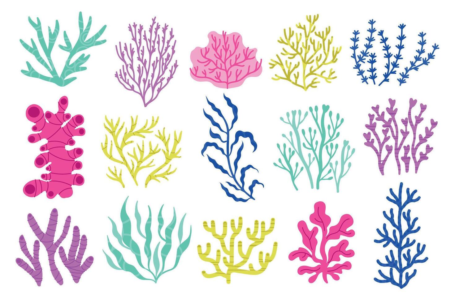 Seaweeds and algae. Cartoon colorful underwater plants, colorful exotic marine botany flora, coral and water plants. Vector isolated set