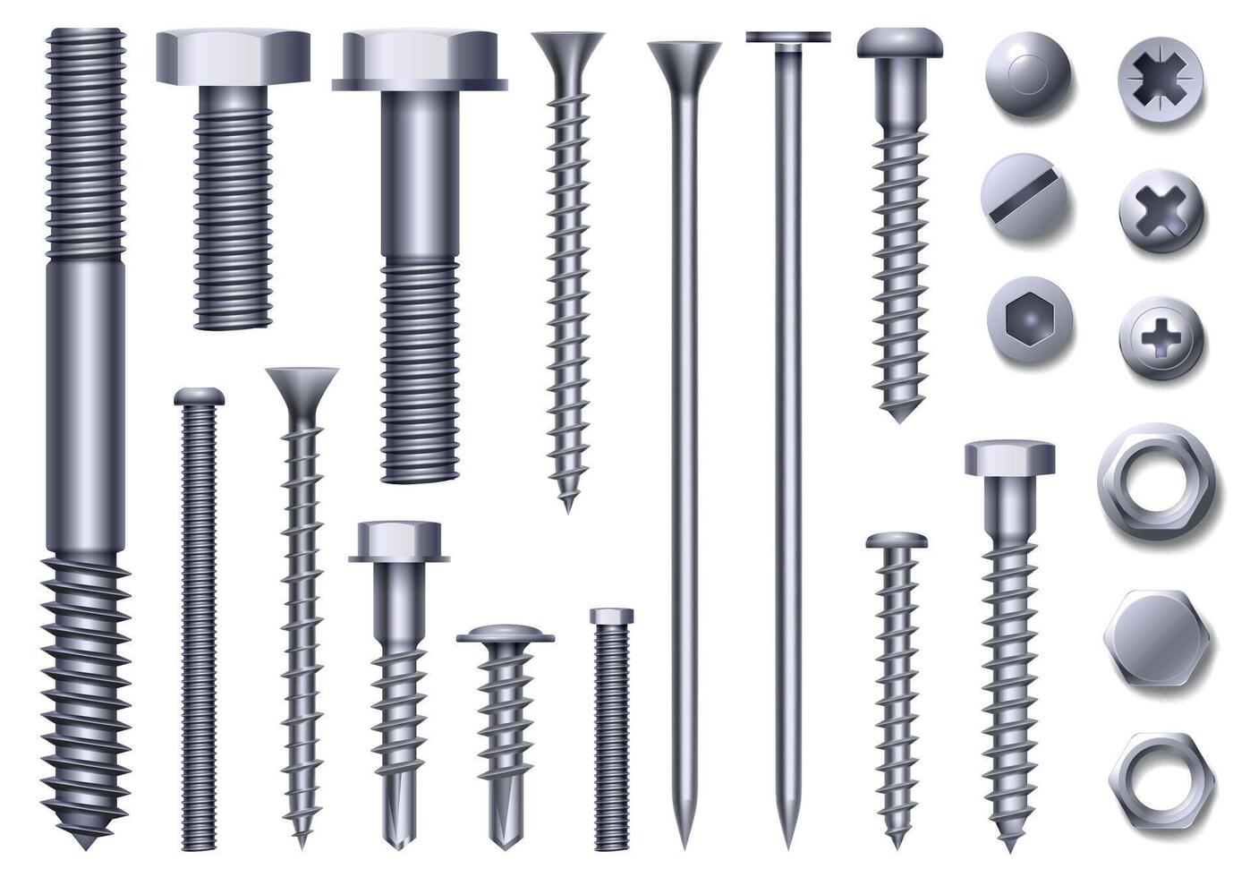 Realistic metal bolts, steel nuts, rivets and screws. Stainless construction hardware top and side view. Chrome bolt and pin head vector set