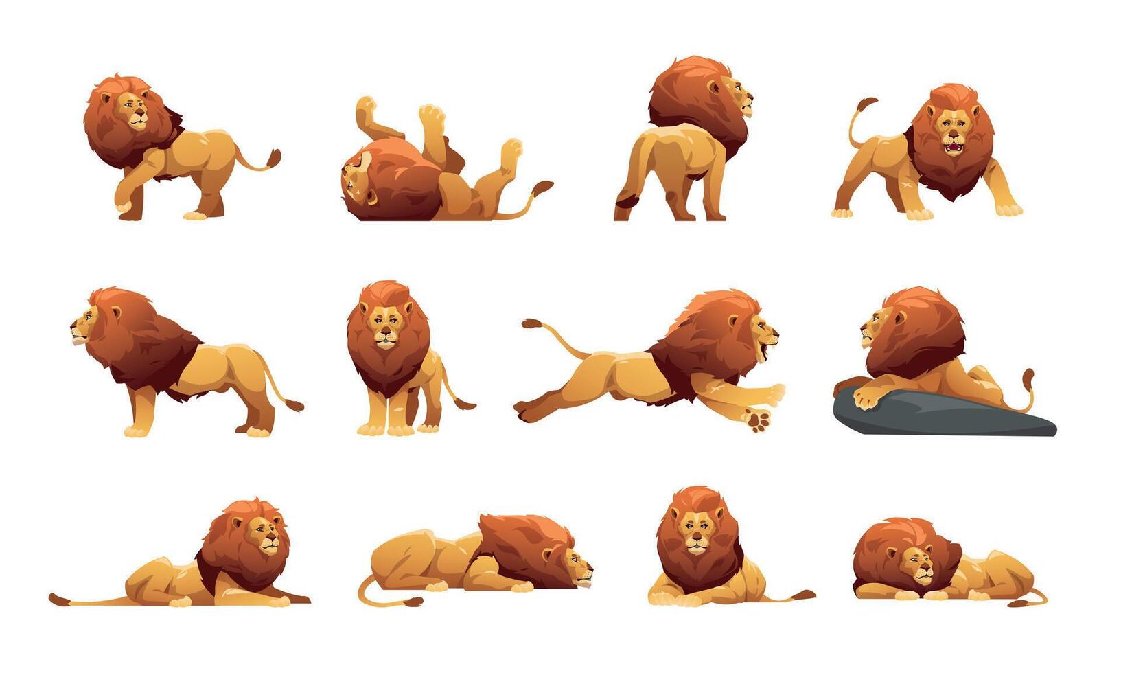 Lion Set Lion Set