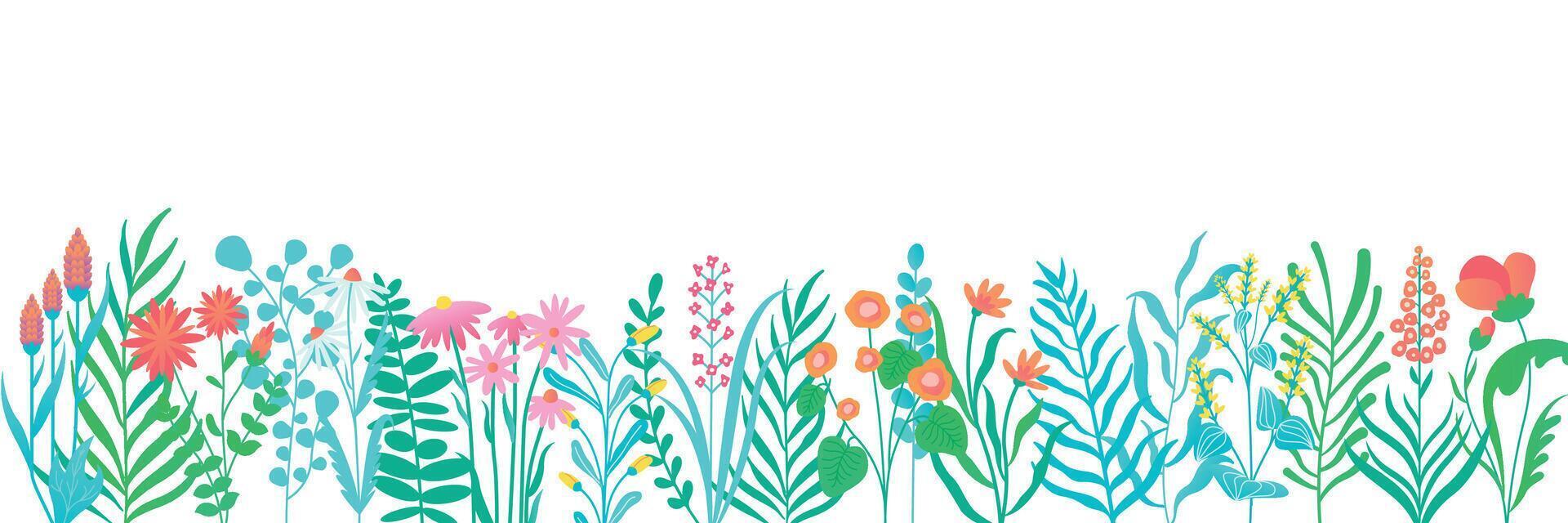 Horizontal flower banner. Summer floral backdrop with blooming buds, botanical decorative frames for wedding invitation design. Vector illustration