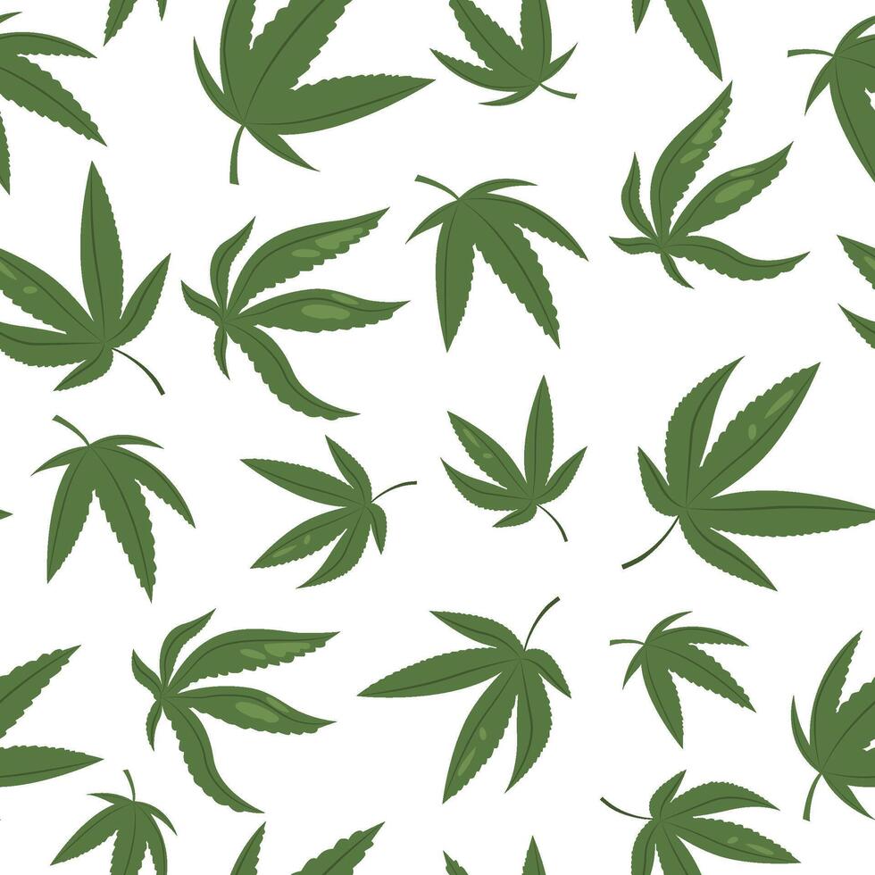 hierba modelo. sin costura impresión con canabis verde hoja, médico legalizado marijuana símbolo para envase papel fondo de pantalla textil. vector dibujos animados textura
