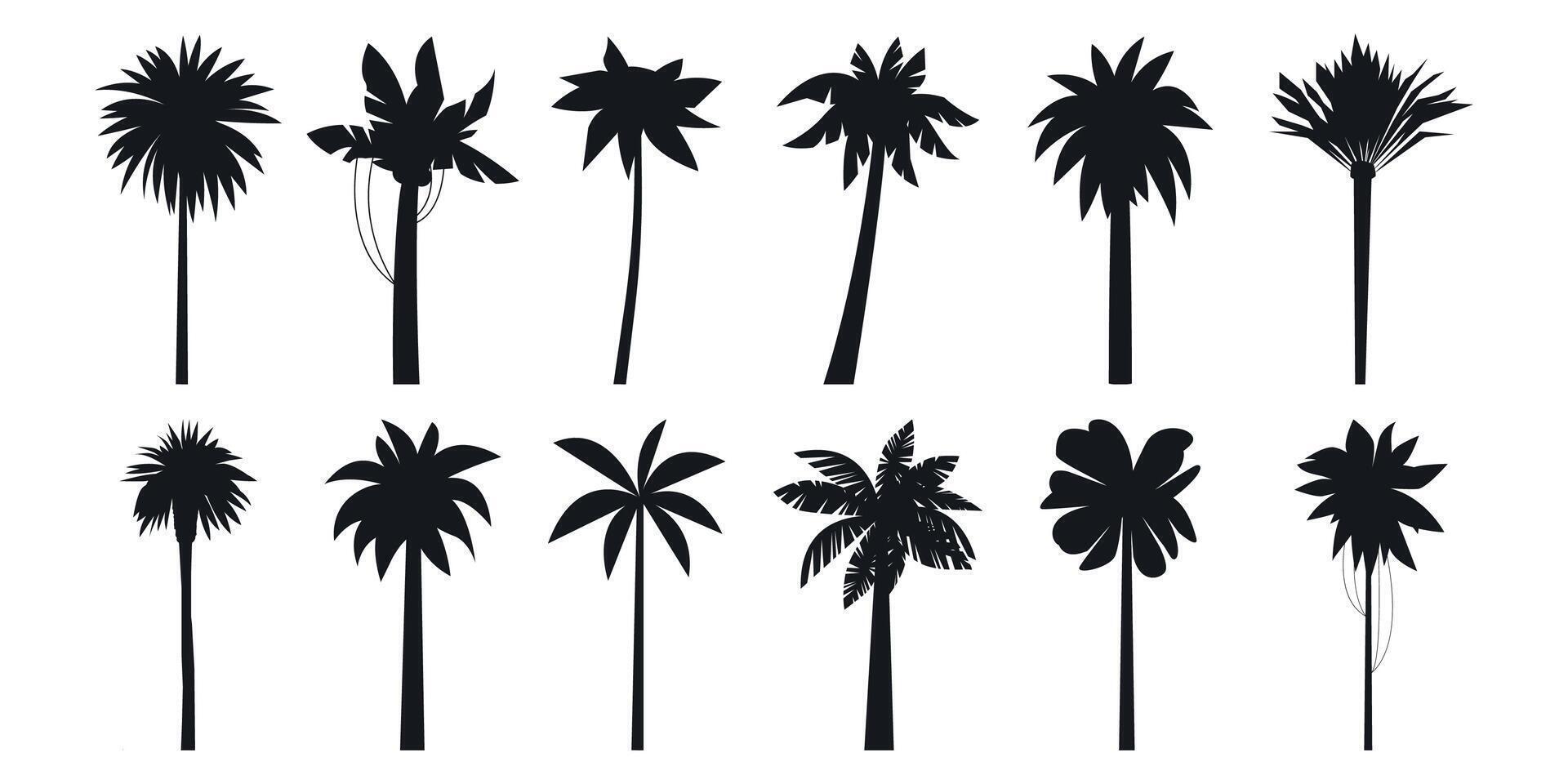 negro palma arboles exótico verano mar costa planta, Coco y plátano árbol negro icono recopilación. vector tropical vacaciones elementos