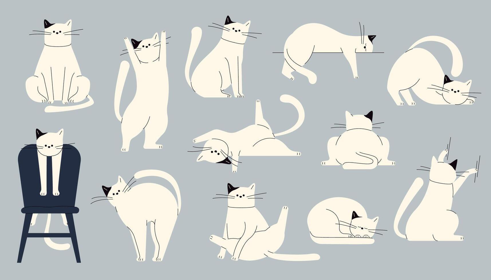 Cats body language. Cute kitten emotions, cartoon domestic cats showing emotions and mood, pet feline characters emotion and mood. Vector isolated set