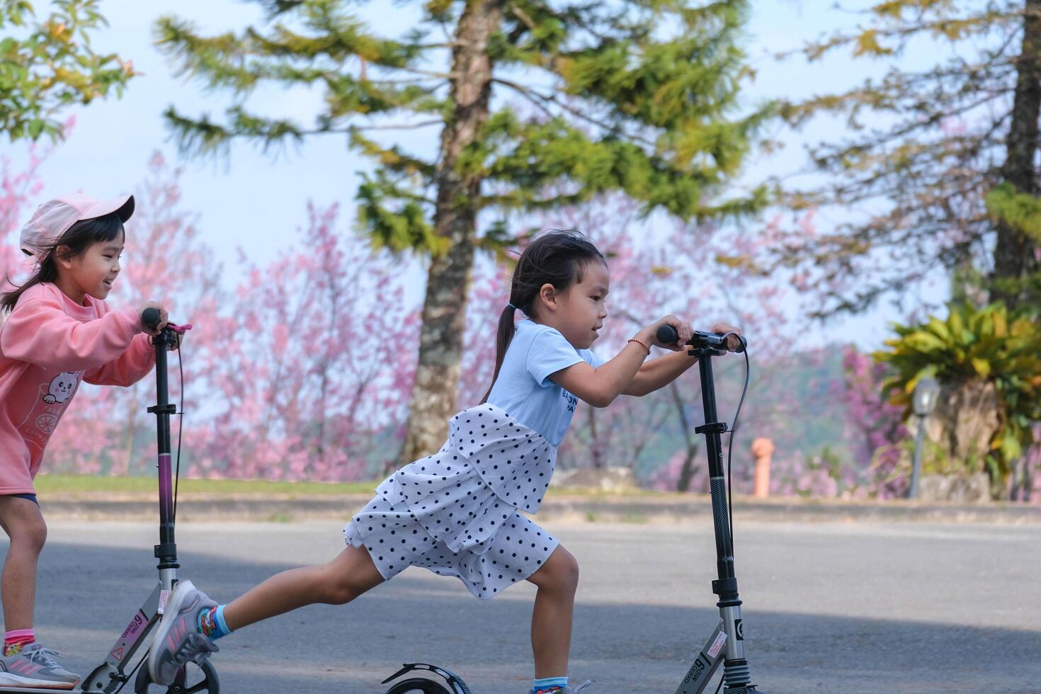 Active sisters riding scooters on street in outdoor park on summer day. Happy Asian kids riding kick scooters in the park. Active leisure and outdoor sport for child. photo