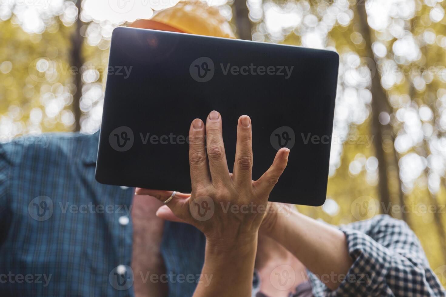 couple of lumberjacks plan work with new technology on the computer photo