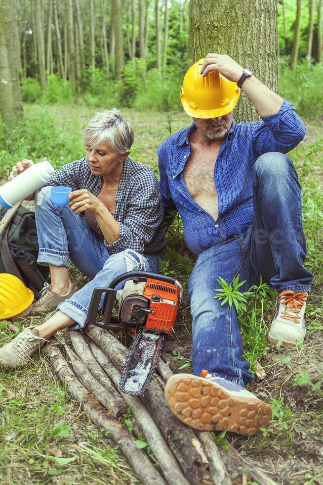 couple of expert woodsmen taking a break photo