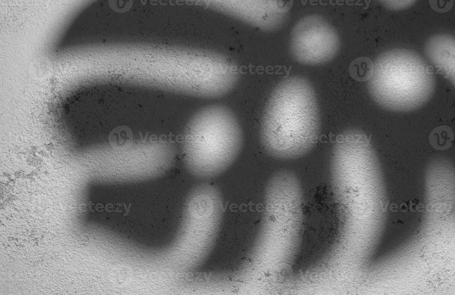 Shadows from monstera leaves photo