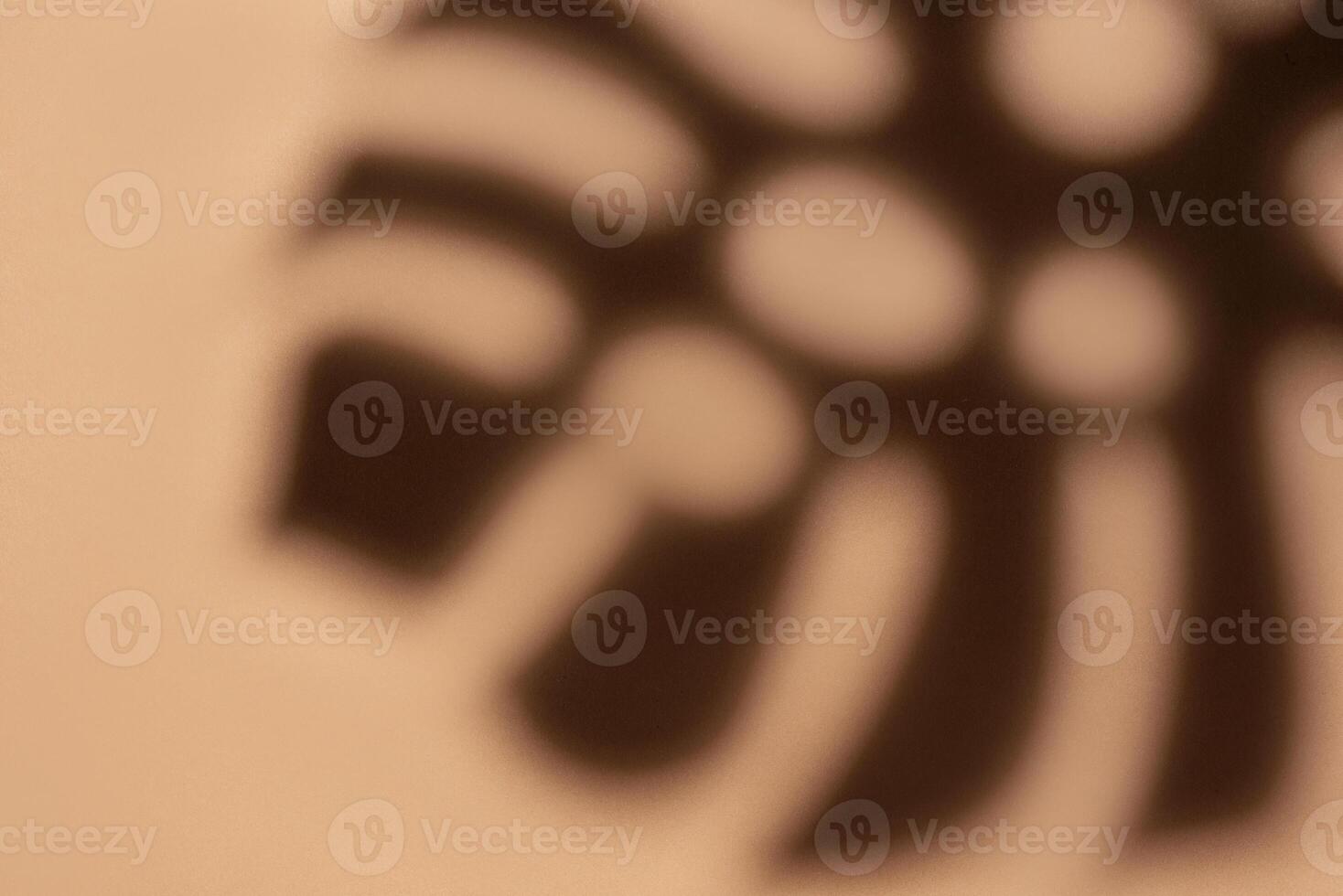 Shadows from monstera leaves photo