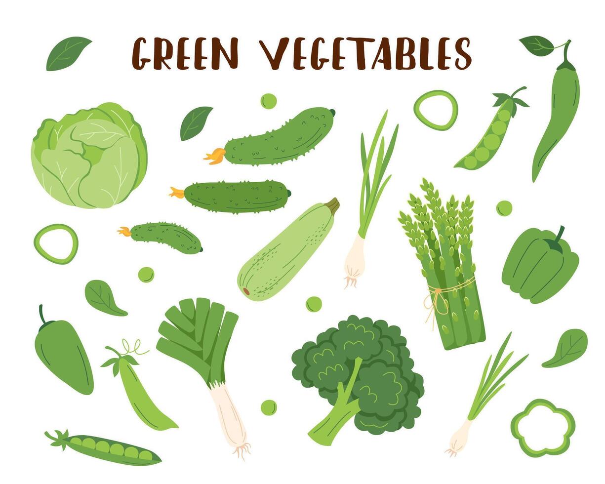 Set of green vegetables in flat style isolated on white background. vector