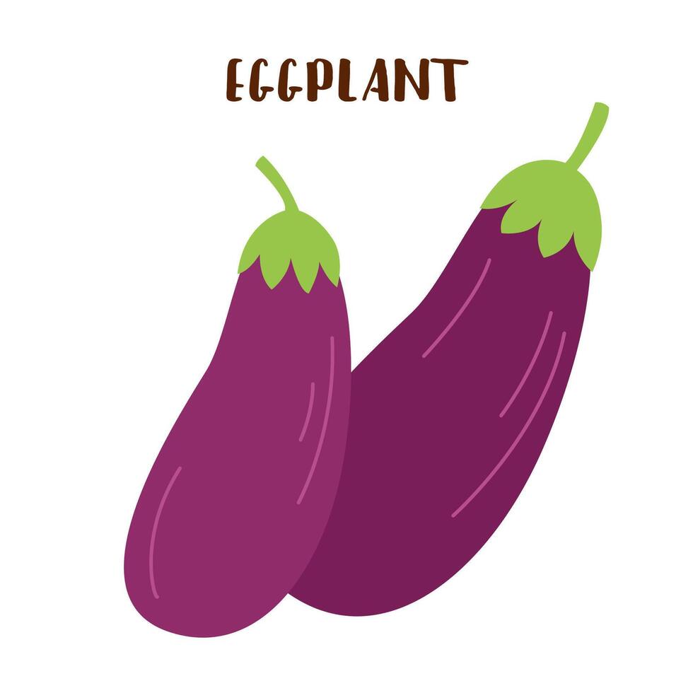 Eggplants isolated on white. Eggplant vegetable. vector