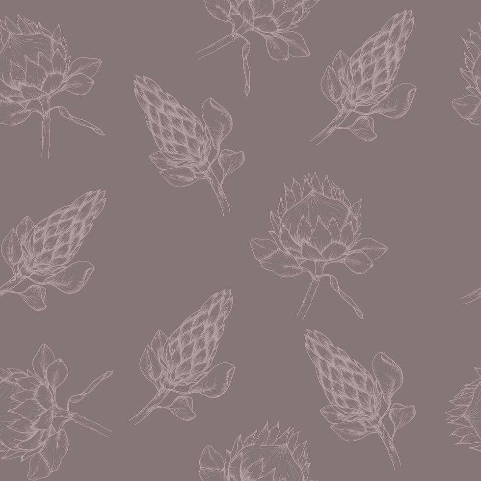 vector floral sin costura modelo con tropical protea flores en negro. Arte línea ,mano dibujado tinta africano Rosa antecedentes para florista comercio, boda, invitación diseño