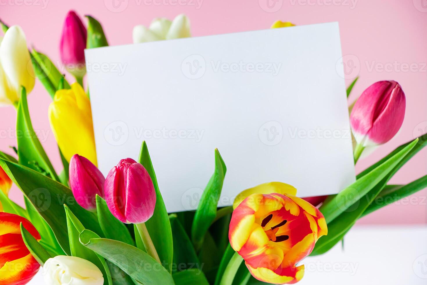 Delicate tulips and greeting card on pink background. Spring concept. Happy easter. photo
