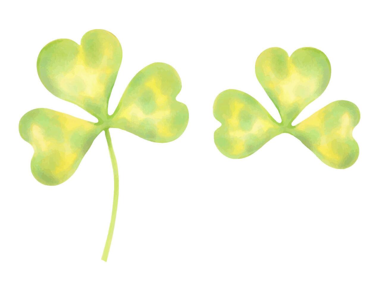 Shamrock yellow green clover for good luck on St. Patrick's Day. Illustration with watercolors and markers. Hand drawn isolated sketch.Clip art of botanical holiday spring concept. vector