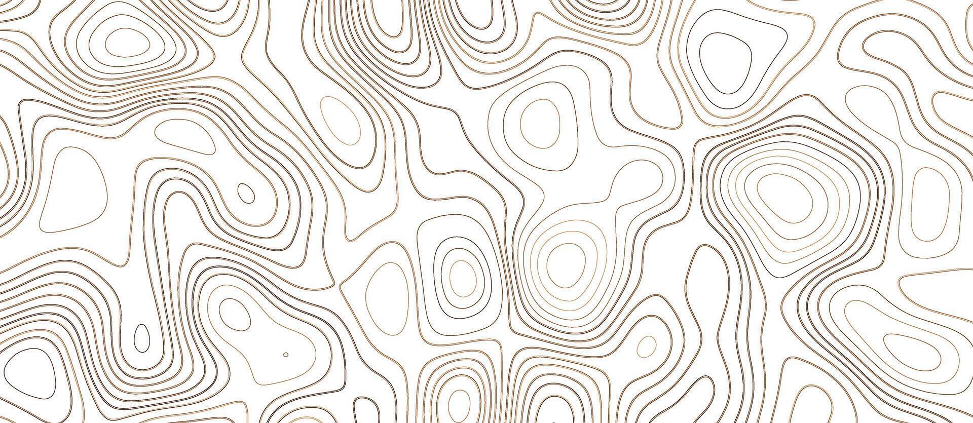 Topographic map background. Brown topography background. Abstract pattern with waves. vector