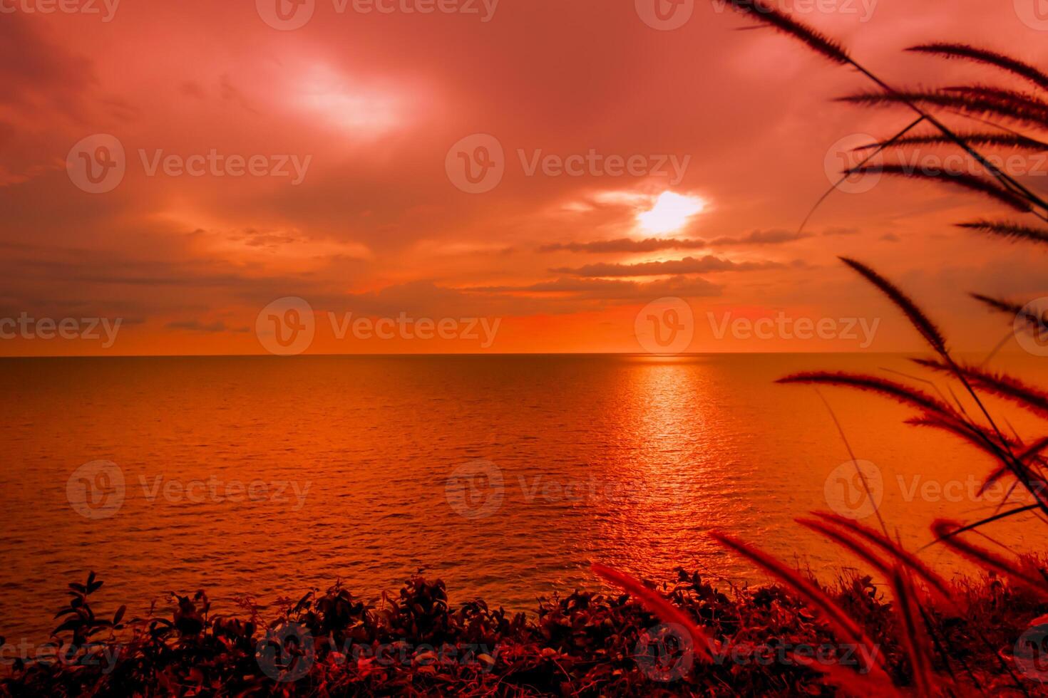 Beautiful sunset on seaside and grass on sky background natural landscape view photo