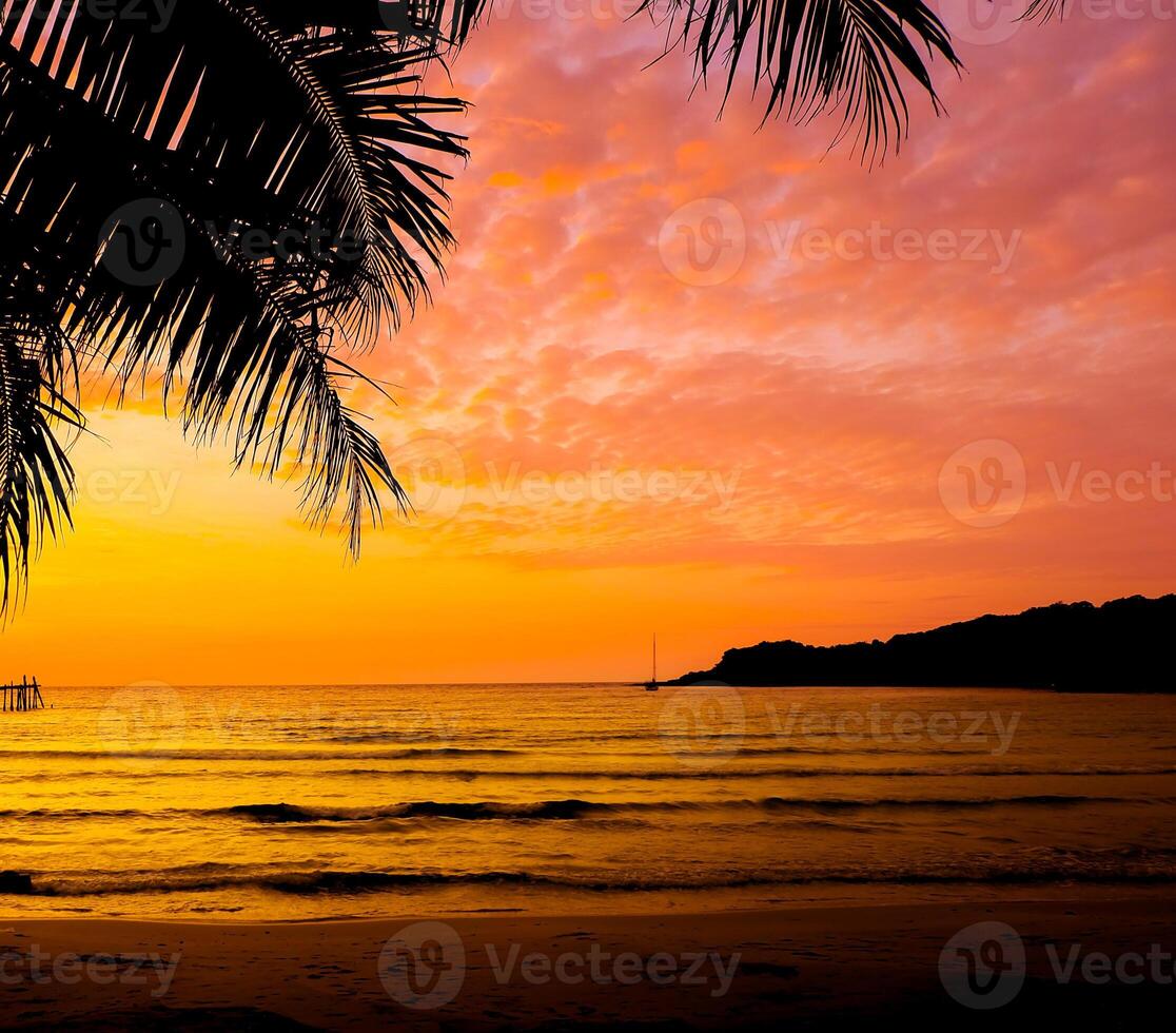 Beautiful sunset tropical beach with palm tree and pink sky for travel and vacation in holiday relax time photo