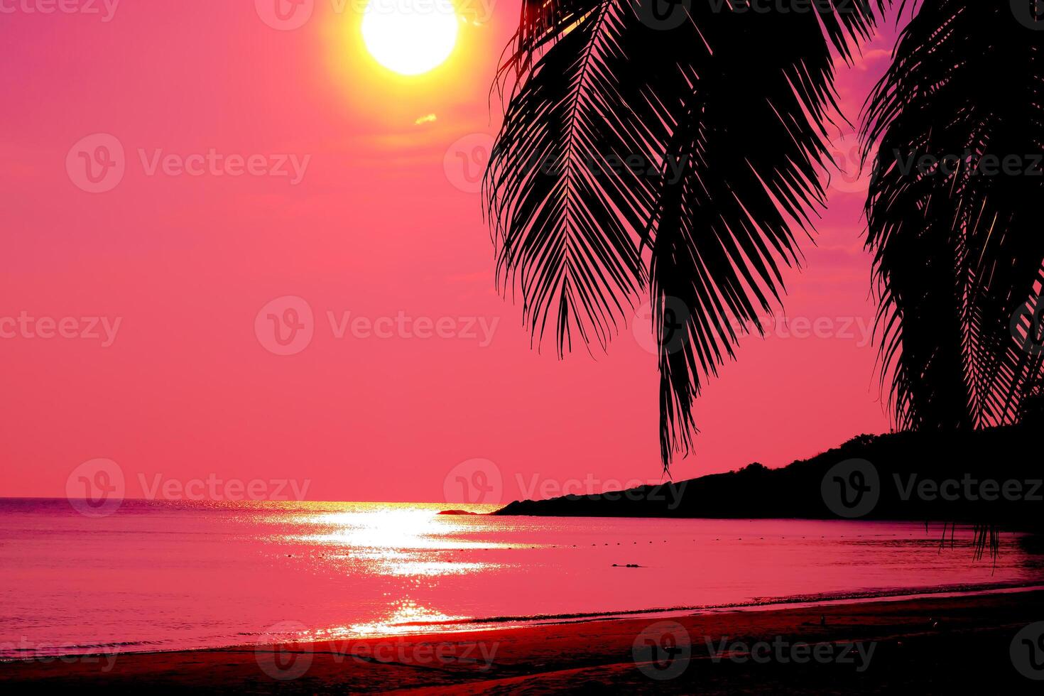 Beautiful sunset tropical beach with palm tree and pink sky for travel and vacation in holiday relax time photo