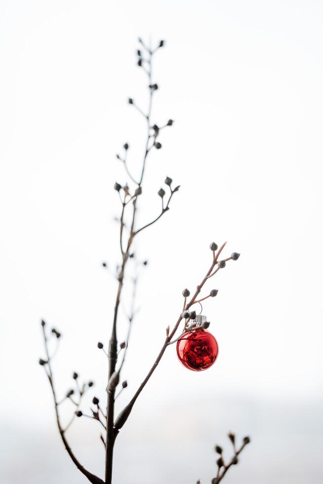 Christmas decorations. A twig in the inn with a Christmas tree toy. Decorative balls on the festive tree. Winter time and preparation for the New Year photo