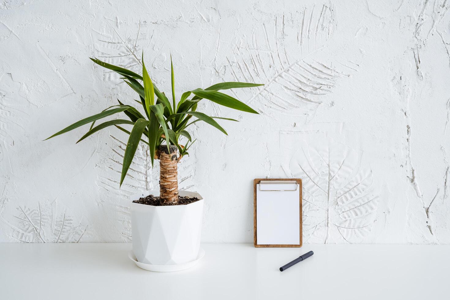 A small pot of ficus is on the table. A notebook with blank sheets and a pen lie side by side. Minimalist work desk. Potted houseplant photo