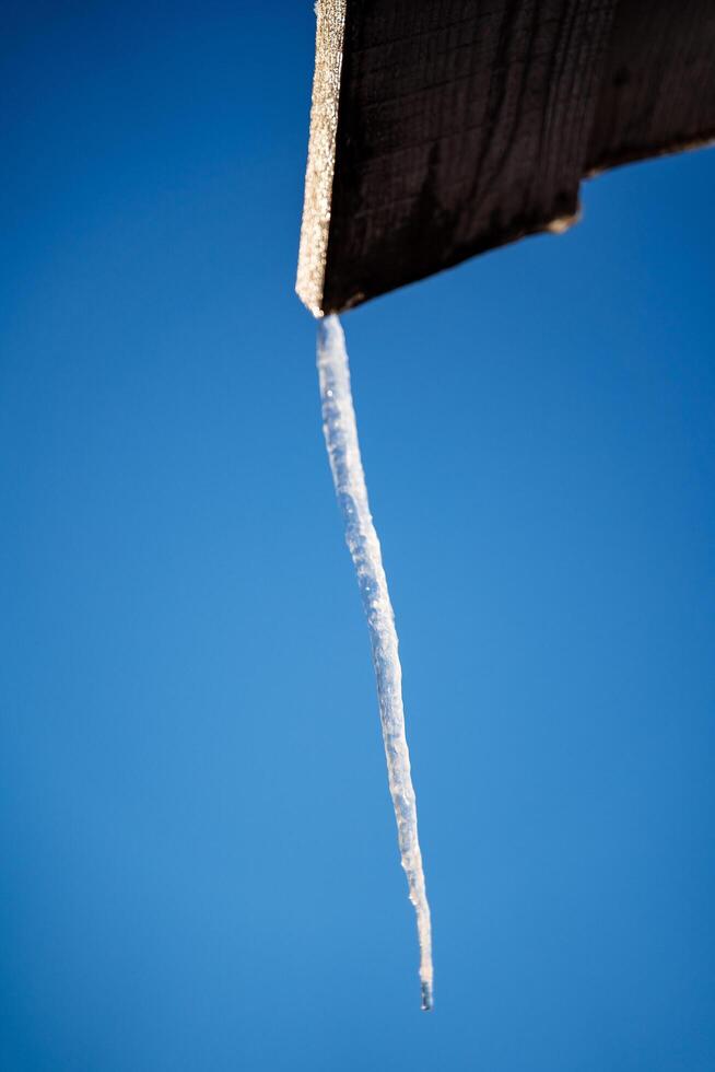 un Delgado carámbano cuelga desde el techo. congelado agua en invierno. invierno fenómenos de naturaleza. agudo carámbano. minimalista Disparo foto