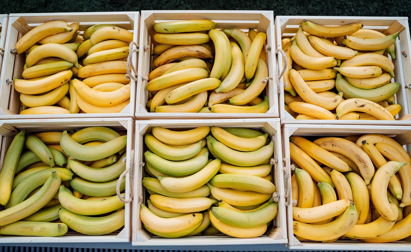 Wooden boxes with ripe bananas. Bananas on the counter. Vegetable and fruit market. Juicy colors of fruit. photo