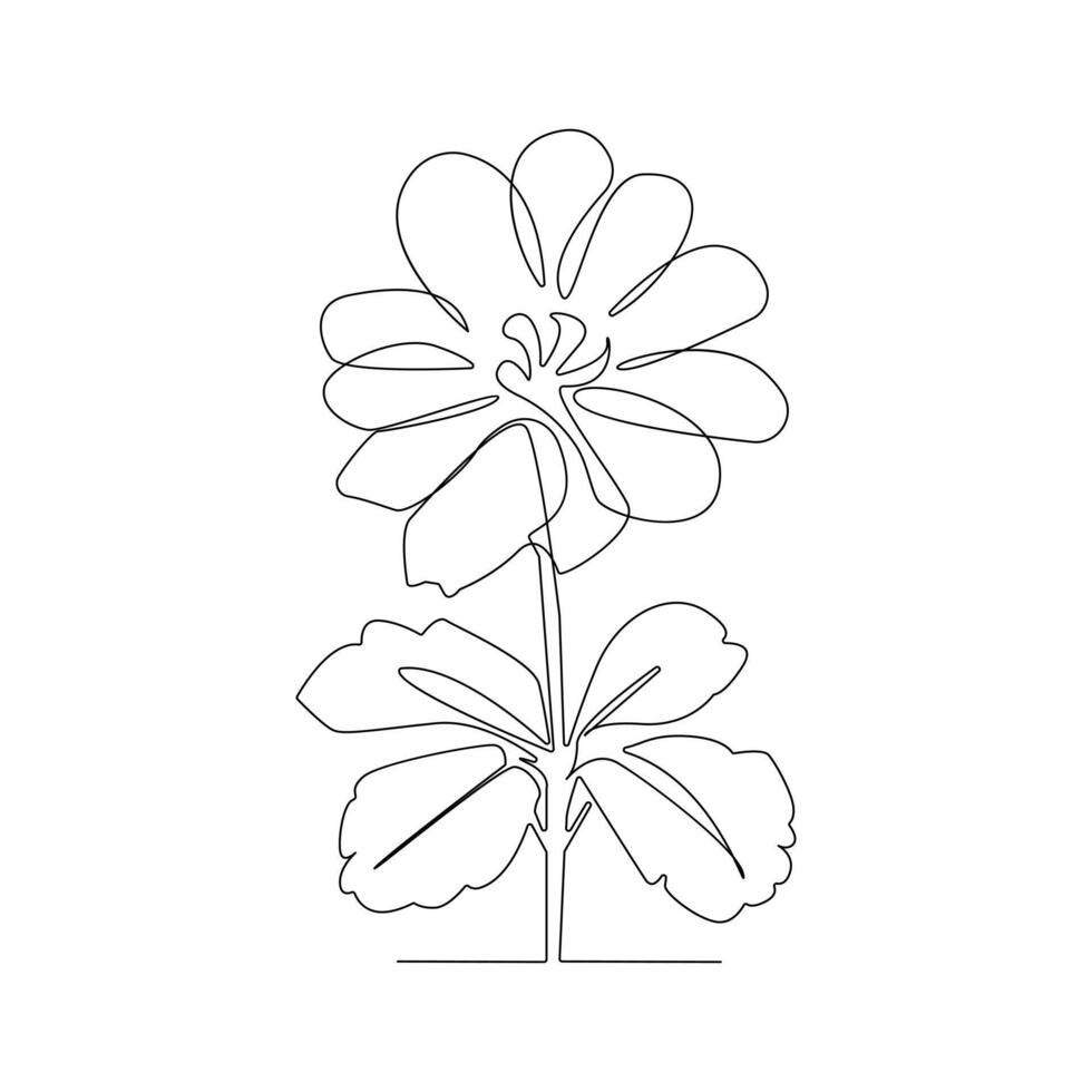 Romantic Flower in one line art outline drawing on white background minimal vector stroke