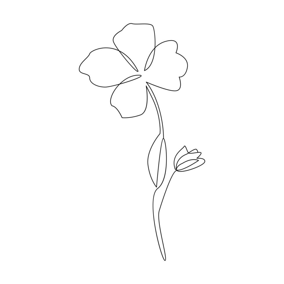 Romantic Flower in one line art outline drawing on white background minimal vector stroke