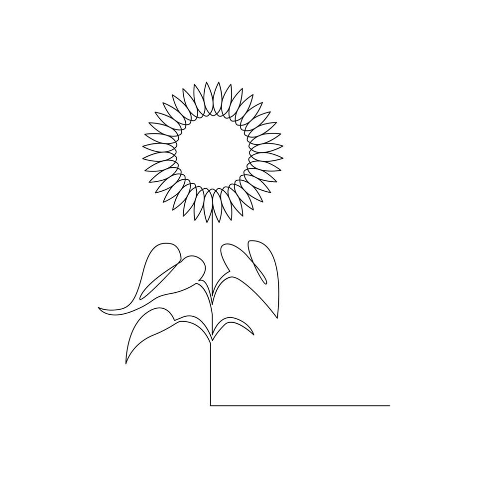Sunflower in a continuous one line style hand drawn outline of flower isolated on white background vector