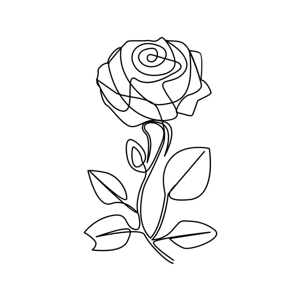 Continuous line drawing of rose flower vector illustration hand drawn decorative beautiful design minimalist