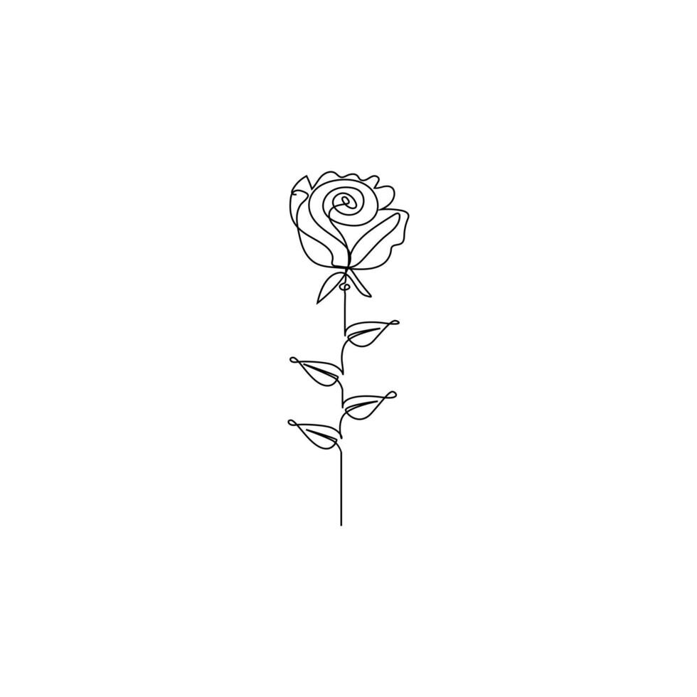 Continuous line drawing of rose flower vector illustration hand drawn decorative beautiful design minimalist