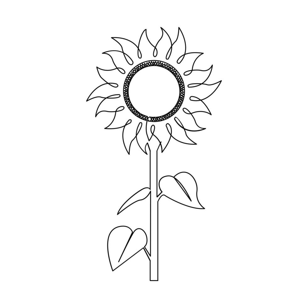Sunflower in a continuous one line style hand drawn outline of flower isolated on white background vector