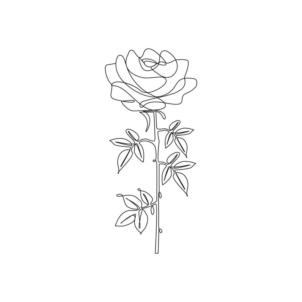 Continuous line drawing of rose flower vector illustration hand drawn decorative beautiful design minimalist