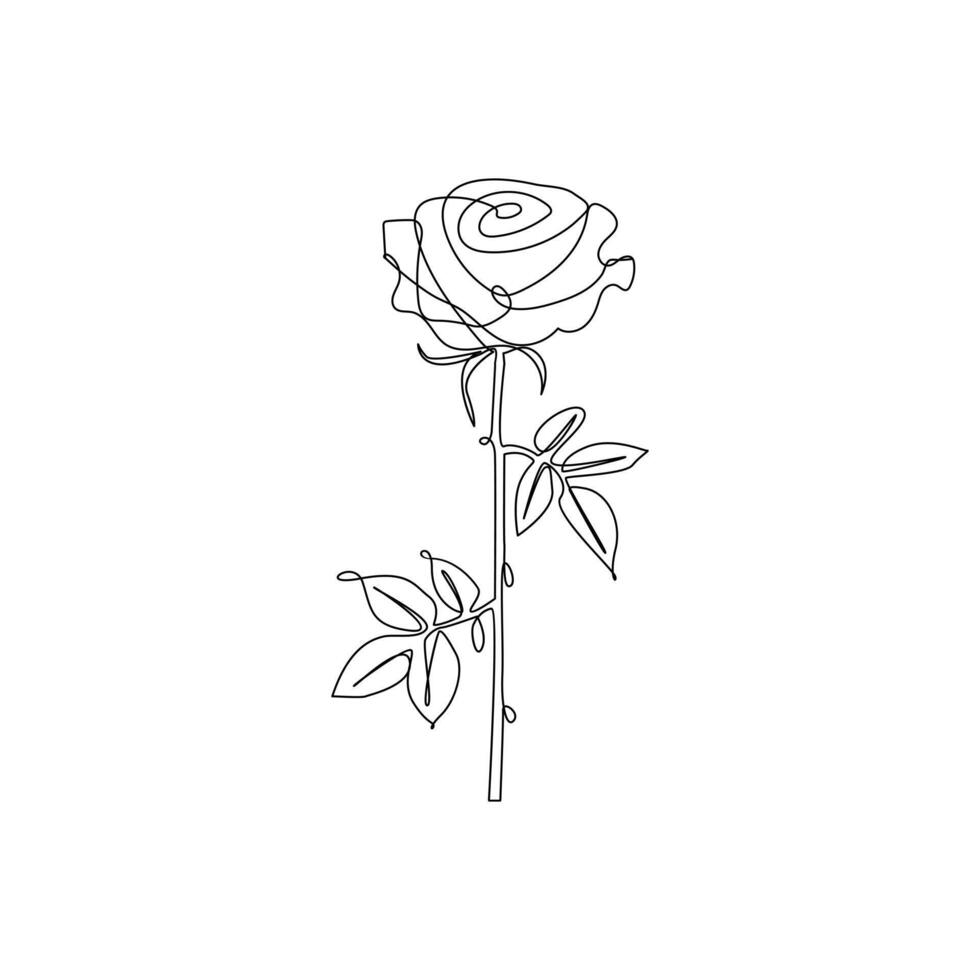 Continuous line drawing of rose flower vector illustration hand drawn decorative beautiful design minimalist