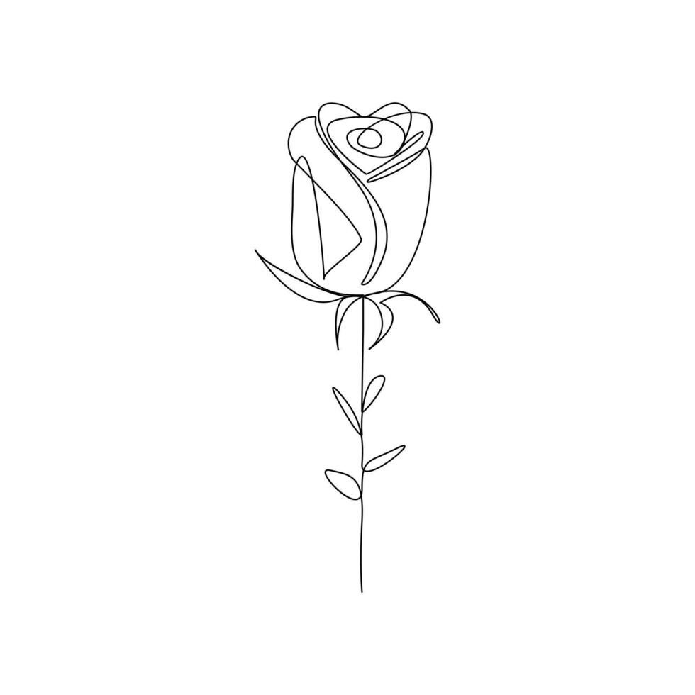 Continuous line drawing of rose flower vector illustration hand drawn decorative beautiful design minimalist