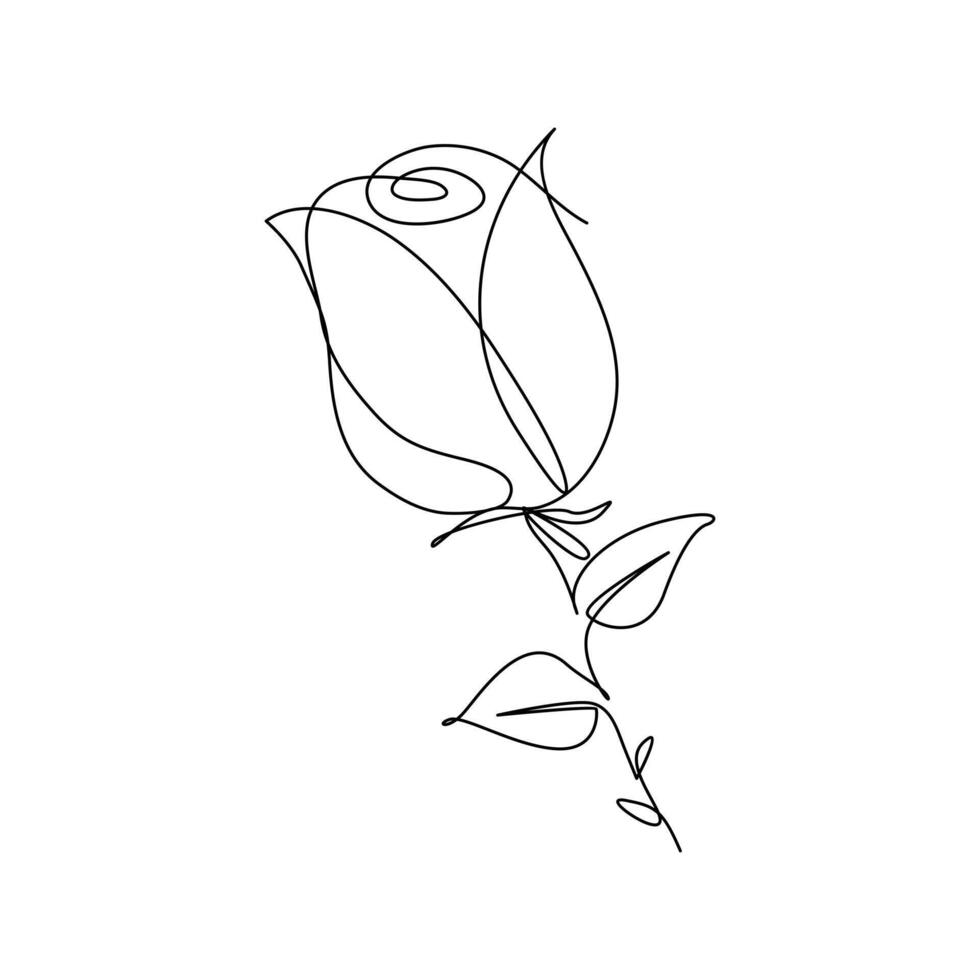 Continuous line drawing of rose flower vector illustration hand drawn decorative beautiful design minimalist