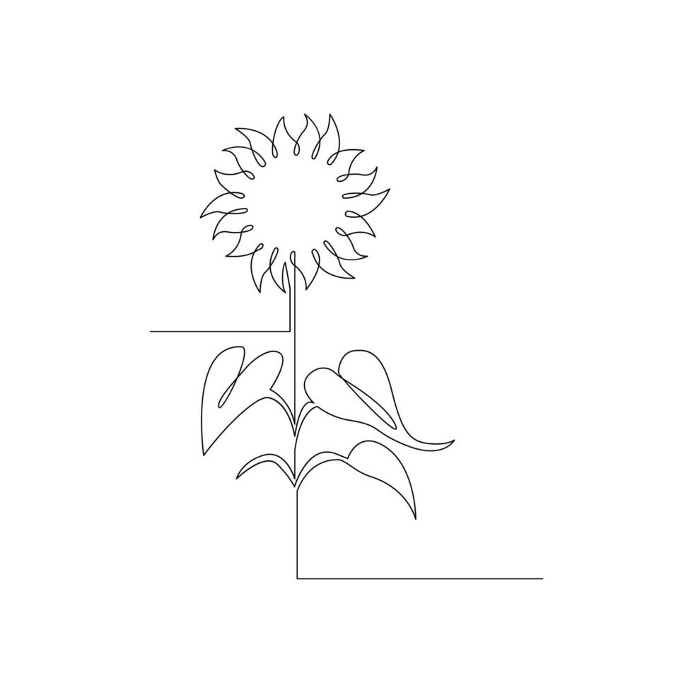 Sunflower in a continuous one line style hand drawn outline of flower isolated on white background vector