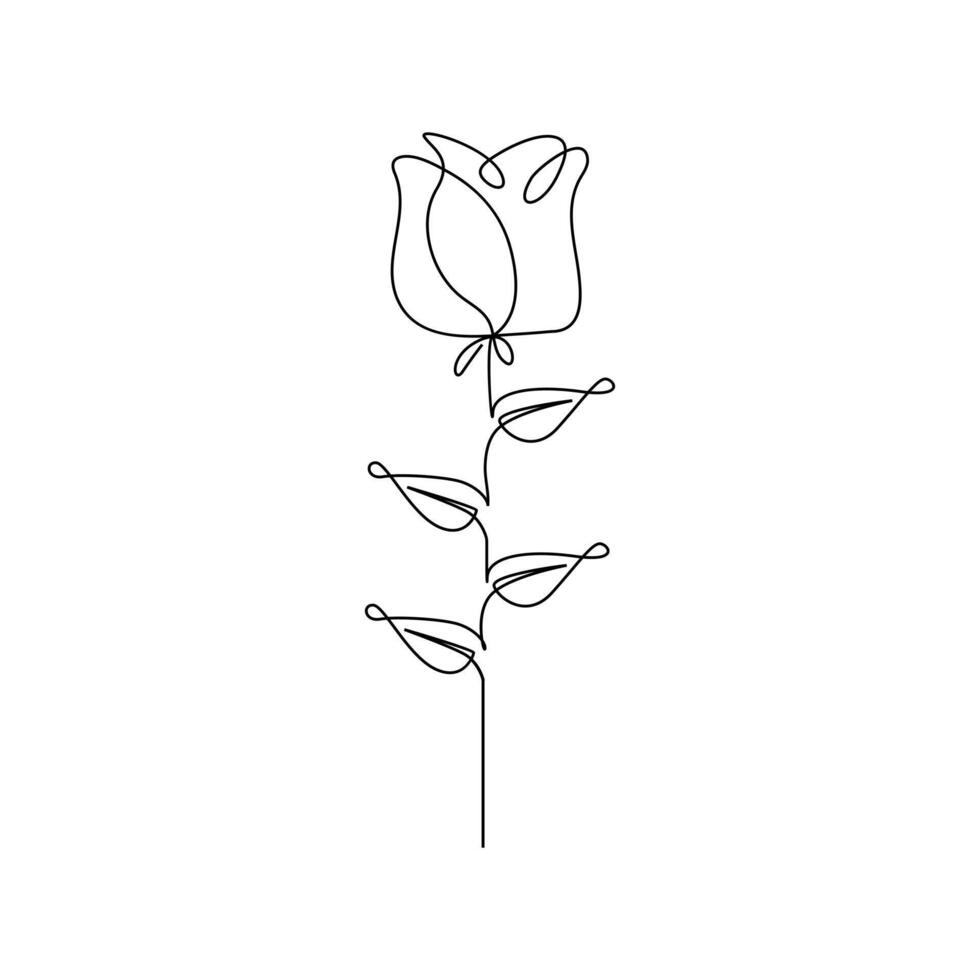 Continuous line drawing of rose flower vector illustration hand drawn decorative beautiful design minimalist