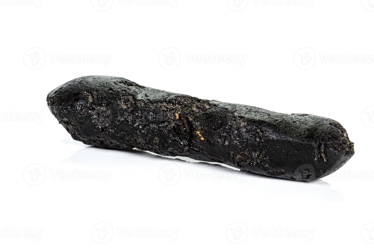 Macro stone mineral meteorite tektite on white background photo