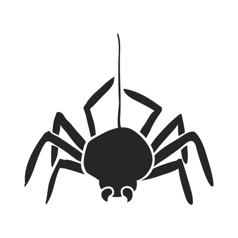 Hand drawn Spider vector illustration