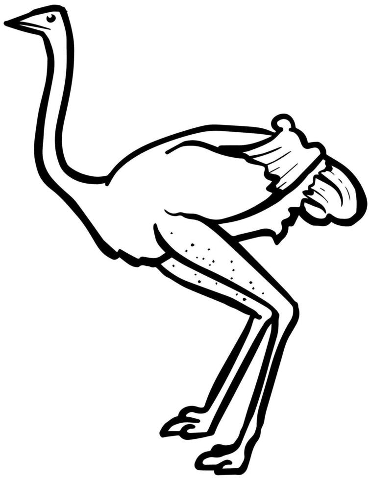 hand drawn ostrich. vector illustration.