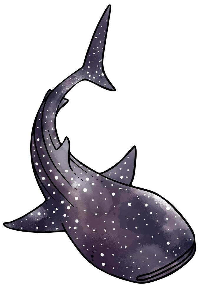 Hand drawn watercolor style whale shark vector illustration.