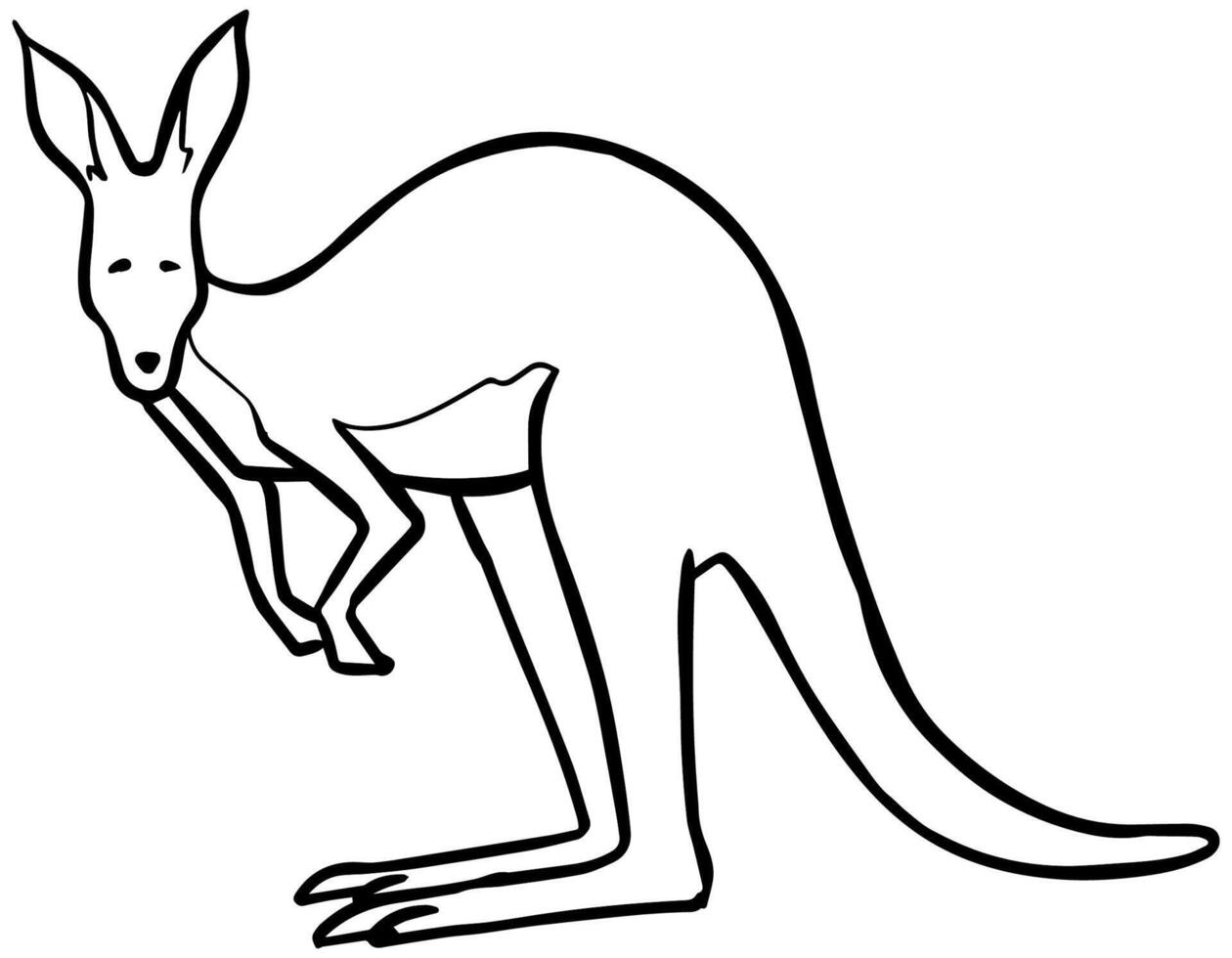 Hand drawn standing kangaroo. Vector illustration.