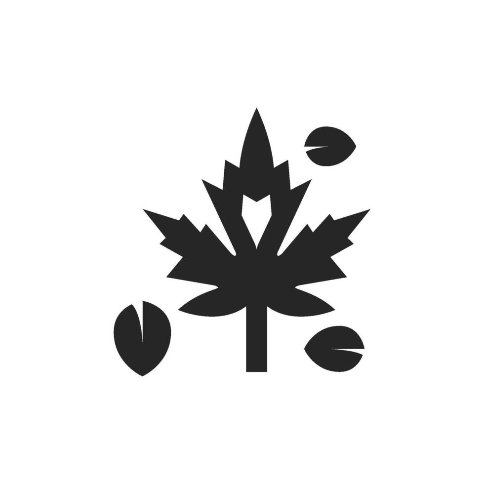 Maple leaf icon in thick outline style. Black and white monochrome vector illustration.