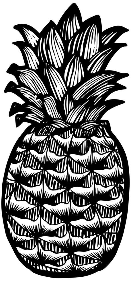 Pineapple hand drawn illustration. Tropical fruit woodcut drawing. vector