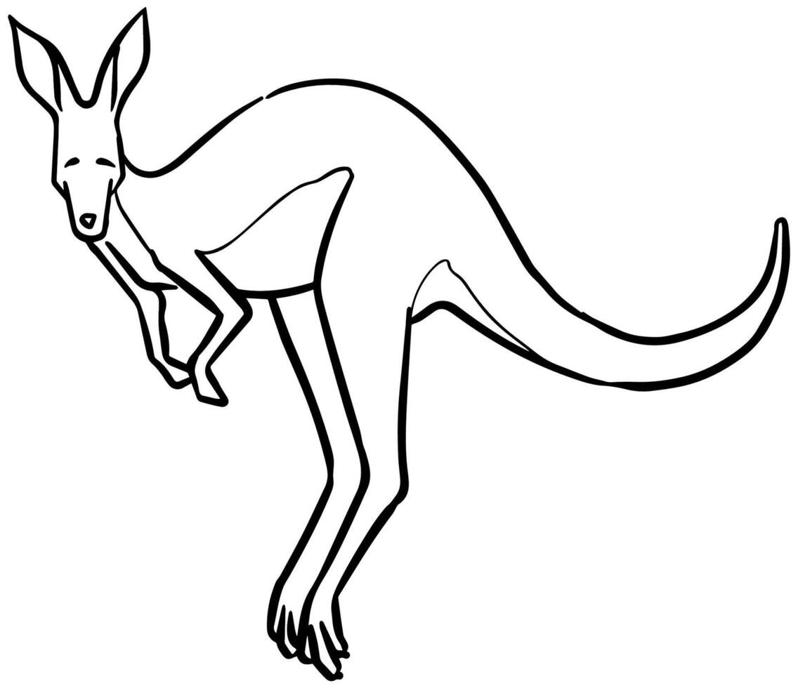 Hand drawn jumping kangaroo. Vector illustration.
