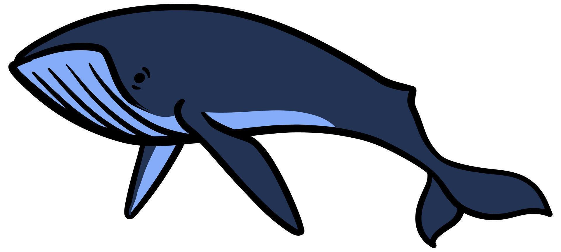 watercolor style whale hand drawn vector illustration.