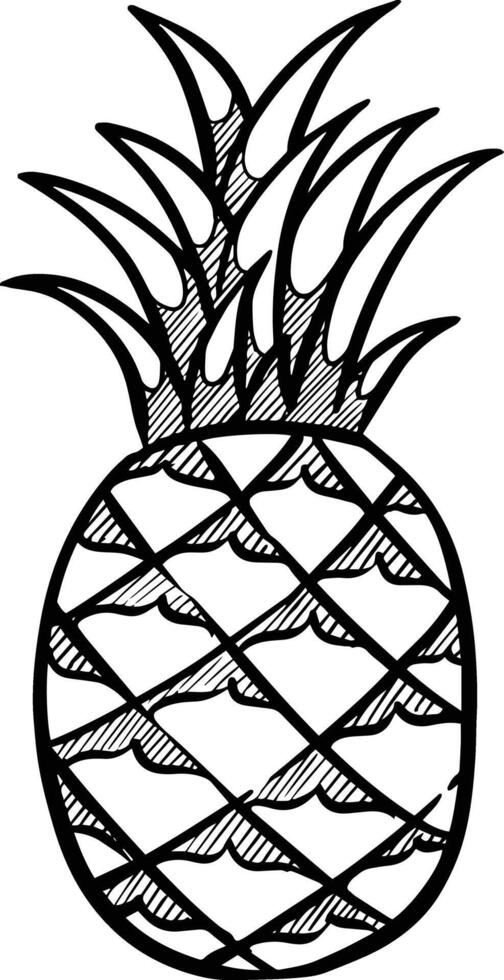 hand drawn pineapple black and white vector