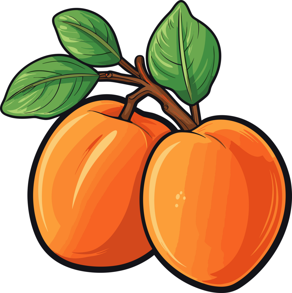 AI generated Apricot fruit clipart design illustration png