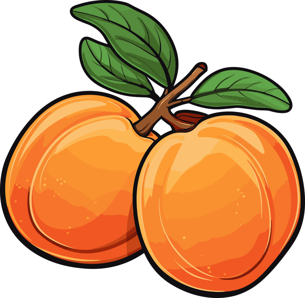 AI generated Apricot fruit clipart design illustration png