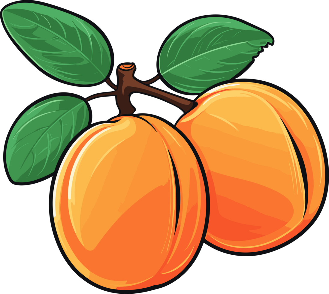 AI generated Apricot fruit clipart design illustration png